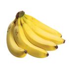 Muda Frutífera de Banana Caturra - AgroJardim