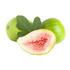 Muda Frutífera de Figo Branco