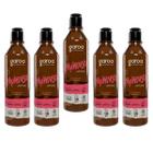 Multiuso Garoa Natural Vegano Biodegradável 600 Ml Kit 5