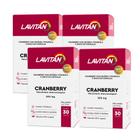 Kit com 6 - Lavitan Cranberry com 30 Capsulas 0 Autentic0 no Shoptime