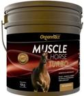 Muscle horse turbo