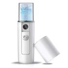 Nano Mister Vaporizador facial recarregável Simples