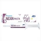 Nexin Pasta Mundo Animal Suplemento Alimentar para Cães e Gatos - Seringa 40 g