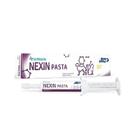 Nexin Pasta Seringa - 40 Gr