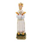 Nossa Senhora Da Salette 23cm - Enfeite Resina