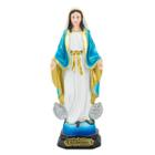 Nossa Senhora Das Graças 22cm - Enfeite Resina