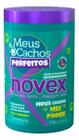 Novex Creme De Tratamento Meus Cachos perfeitos 1 Kg