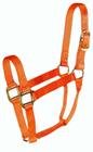 Nylon Halter Hamilton de 1 polegada para cavalo 363-499 kg de laranja quente