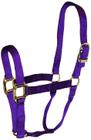 Nylon Halter Hamilton de 2,54 cm para cavalos de 362,87 a 498,95 kg de Pu