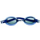 Óculos De Natação Vortex Series 1.0 Hammerhead