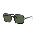 Óculos de Sol Feminino Ray Ban RB1973 90131