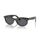 Óculos de Sol Ray-Ban 0RB2242 Wayfarer Oval Feminino