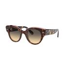 Óculos de Sol Ray Ban RB2192 1324BG 47