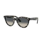 Óculos de Sol Ray Ban RB2241 133371 54