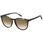 Óculos de Sol Tommy Hilfiger 1724S Havana Preto Lente Marrom