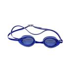 Oculos natacao speedo champ