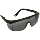 Oculos Proteção Cinza Fumê Regulavel Fênix DANNY Epi com ca