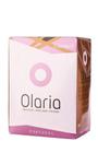 Olaria Bag in Box (Rosé) Alentejo 5l - CARMIM