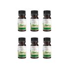 Oleo Capilar Vegetal Vita Seiva Babosa 30Ml-Kit C/6Un