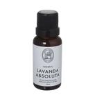 Óleo Concentrado Lavanda Absoluta - 20ml