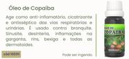 Óleo de copaíba 20ml - SANTIERRA