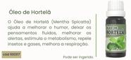 ÓLEO DE HORTELÃ 20ML ( 6 Unidades )