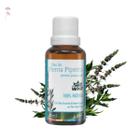 Óleo de Menta Piperita (hortelã) pronto para pele WNF 30ml