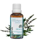 Óleo de Menta Piperita pronto para a pele 30ml - WNF