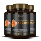 Óleo De Semente De Abóbora 3x60 Cápsulas Softgel Matéria Prima Importada Alisson Nutrition