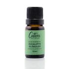 Óleo Essencial Aromatizante Eucalipto Globulos 10 Ml - Cativa