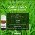 Óleo Essencial de Capim Limão (Capim Cidreira) 10 ml 100% Puro - Palácio das Artes e Essências