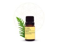 Óleo Essencial de Cipreste Bysamia 10ml