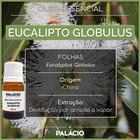 Óleo Essencial de Eucalipto Globulus 10 ml 100% Puro