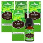 Óleo Essencial de Hortelã Pimenta 10ml CHAMED 100% Puro 4 Frascos