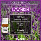 Óleo Essencial de Lavandin 10 ml 100% Puro