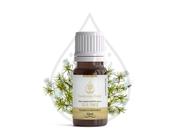 Óleo Essencial de Tea Tree Melaleuca 10ml - Auxilia na gripe e resfriados, aumentando a imunidade.