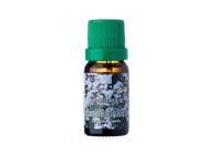 Óleo Essencial De Tomilho Branco 10ml - (RHR)