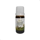 Óleo Essencial Eucalipto Citriodora 10ml Natural 100% Puro