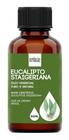 Óleo Essencial Eucalipto (Lima Limão) 100Ml - Puro E Natural