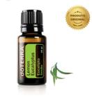 Óleo Essencial Lemon Eucalyptus 15 ml