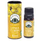 Óleo Essencial Litsea Cubeba 10ml Bioessência Puro