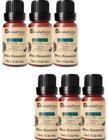 OLEO ESSENCIAL MENTA PIPERITA PURO 10ml NATUFLORES KIT 6 UND