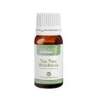 Óleo Essencial Puro Tree Tea (Melaleuca) Terra dos Aromas c/ Exclusiva Embalagem Econômica de 7 ml