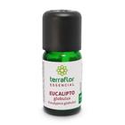 Óleo Essencial Terra Flor De Eucalipto Globulus 10Ml