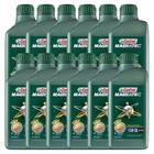 Óleo Lubrificante 10W30 Magnatec Com 12Un 3377741 - Castrol