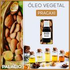 Óleo Vegetal de Pracaxi - 100 ml - Palácio das Artes e Essências