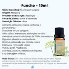 Óleos Essenciais Naturais Via Aroma - Escolha por Aroma