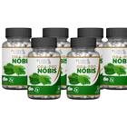 Ora-Pró-Nobis 500Mg 60 Cáps Kit Com 6 - World Ecommerce