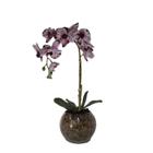 Orquídea Burgundy Pintada x1 Vaso Aquário