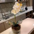 Orquídea Toque Real Branca Artificial Arranjo no Vaso Transparente Flores Permanentes